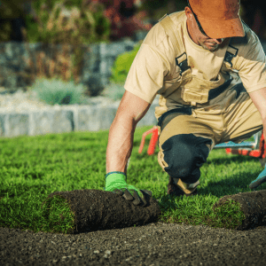 Gardening and ladscaping