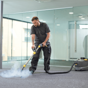 Carpet Cleaning category image