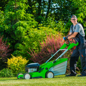 lawn care & yard work