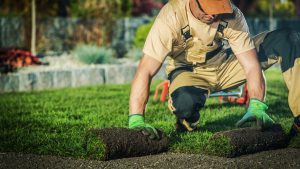 Landscaping Services