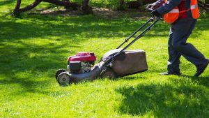 lawn care